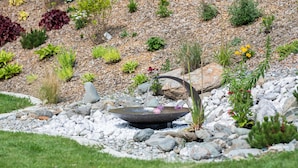 Un jardin avec un élément aquatique central, entouré de rochers et de différentes plantes.