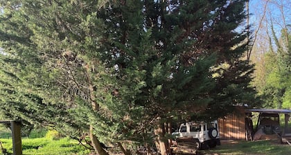 Une chambre d'hĂŽte dans les bois