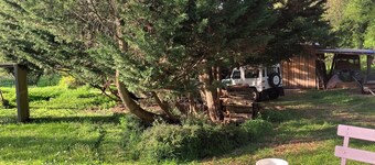 A bed and breakfast in the woods