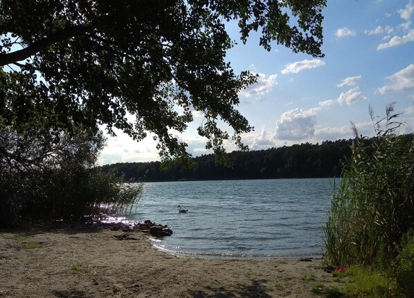 Apartment | View from property - Apartment in Strausberg Near Straussee Lake (Strausberg)