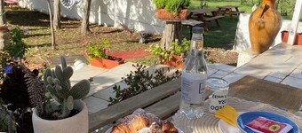 Chill Garden Experience