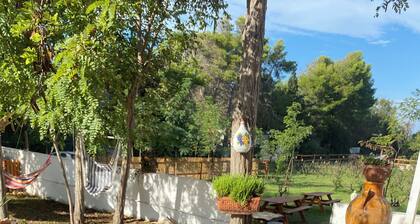 Chill Garden Experience