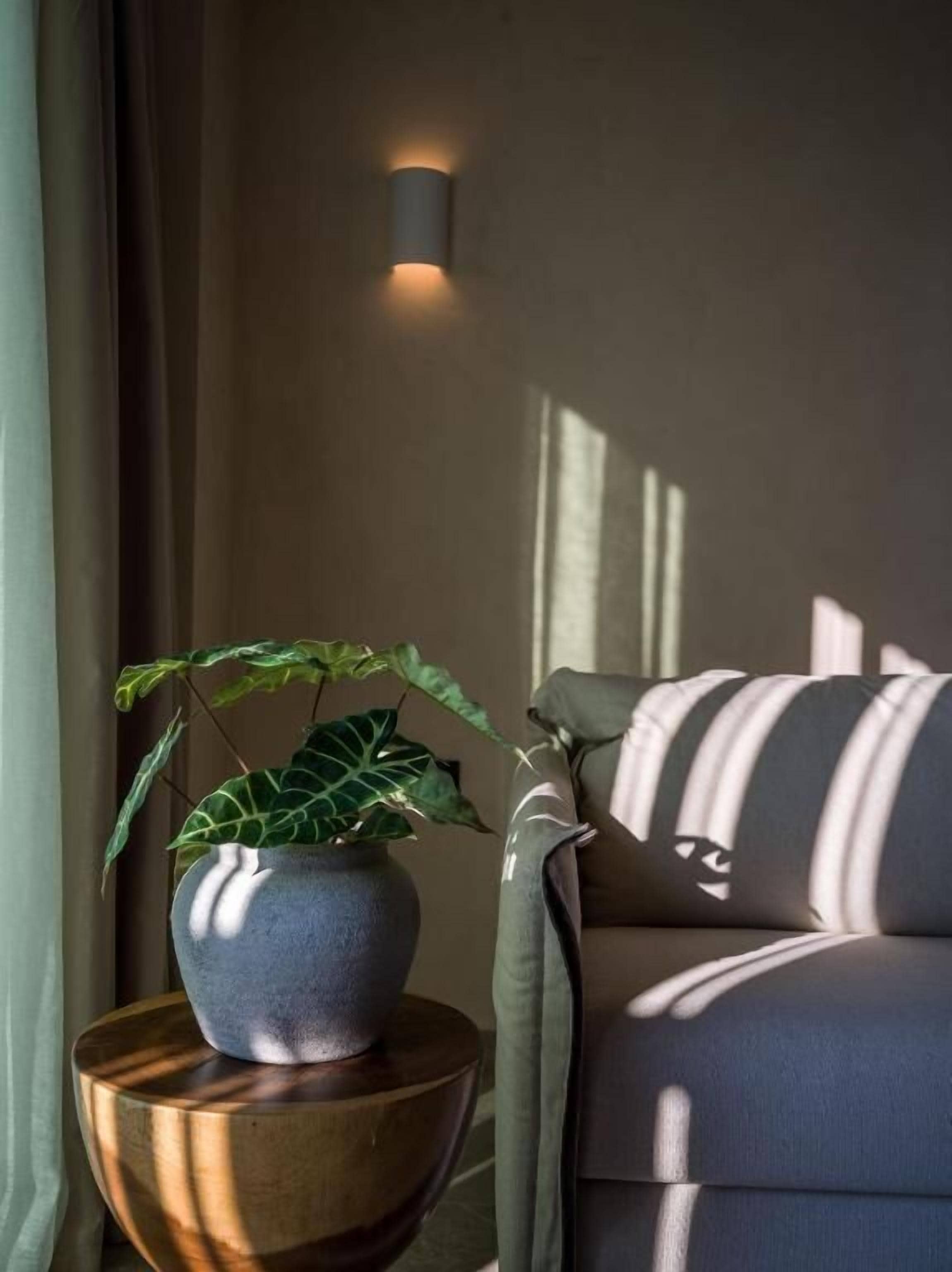 A modern living room with a potted plant on a wooden side table, a sofa with striped cushions, and a wall-mounted light fixture.