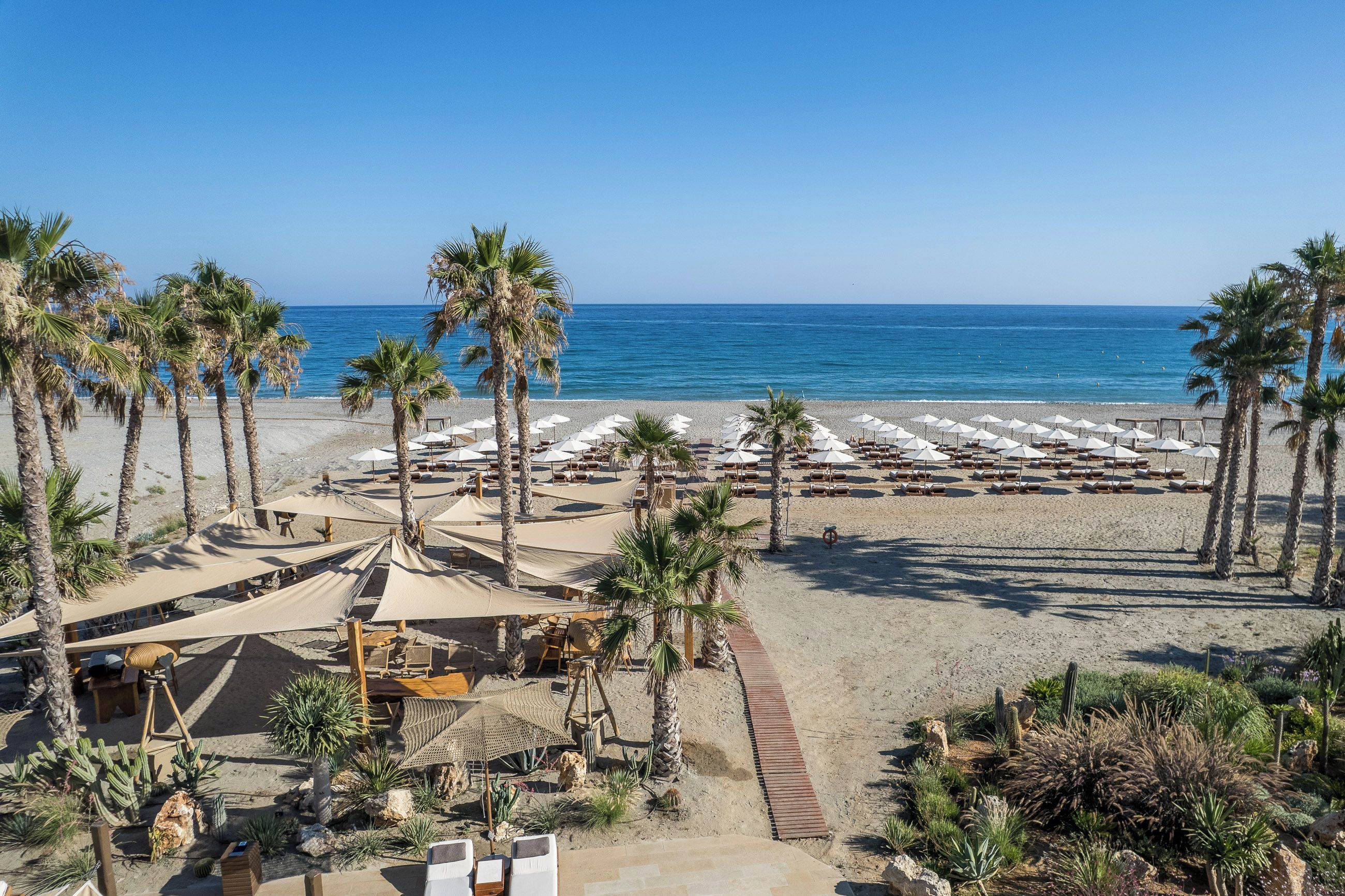 A beach resort with rows of sun loungers and umbrellas, palm trees, and a clear view of the sea.