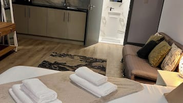 Economy Quadruple Room | Desk, iron/ironing board, free WiFi