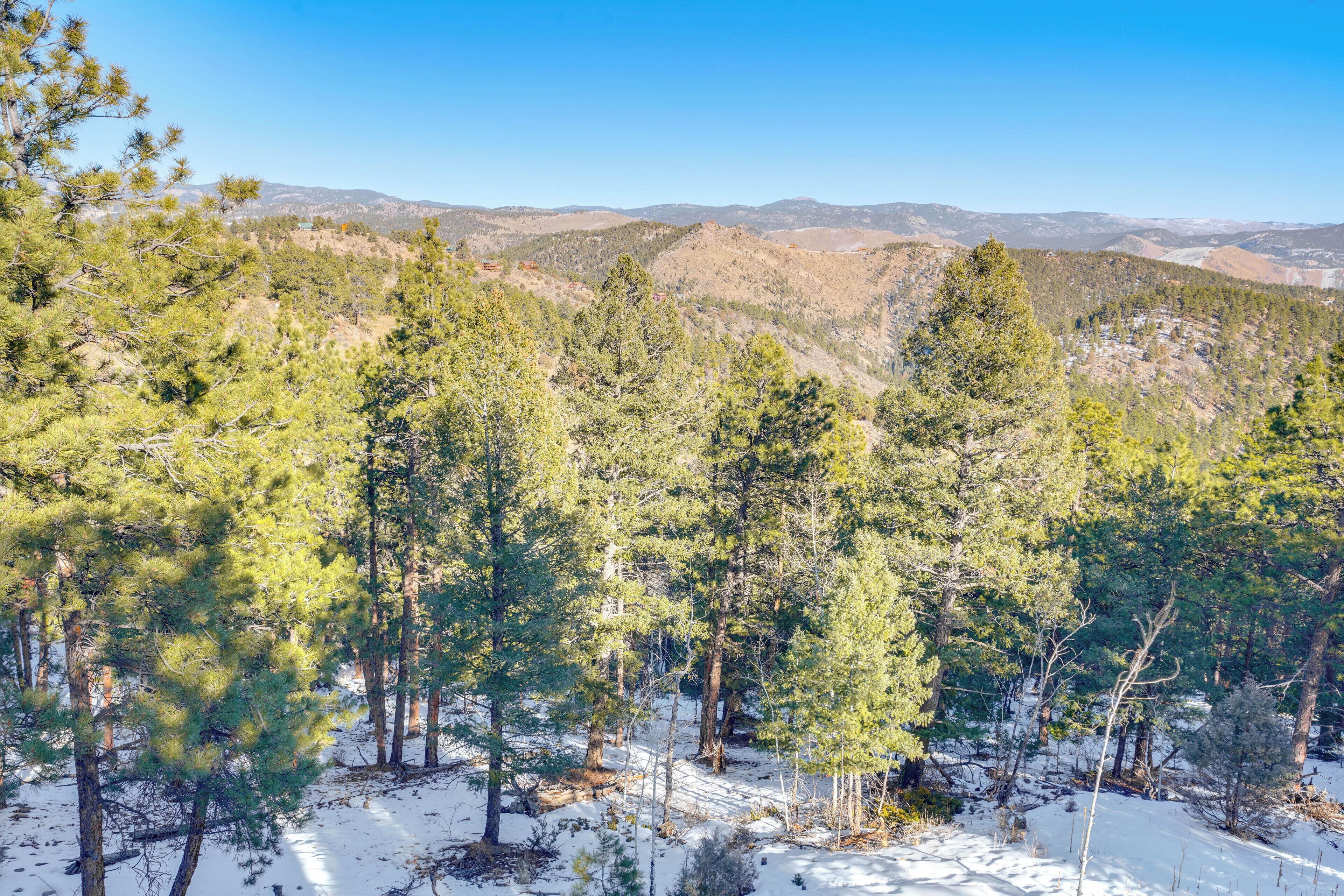 Un paysage montagneux, avec de vastes forêts de pins et un sol recouvert de neige.