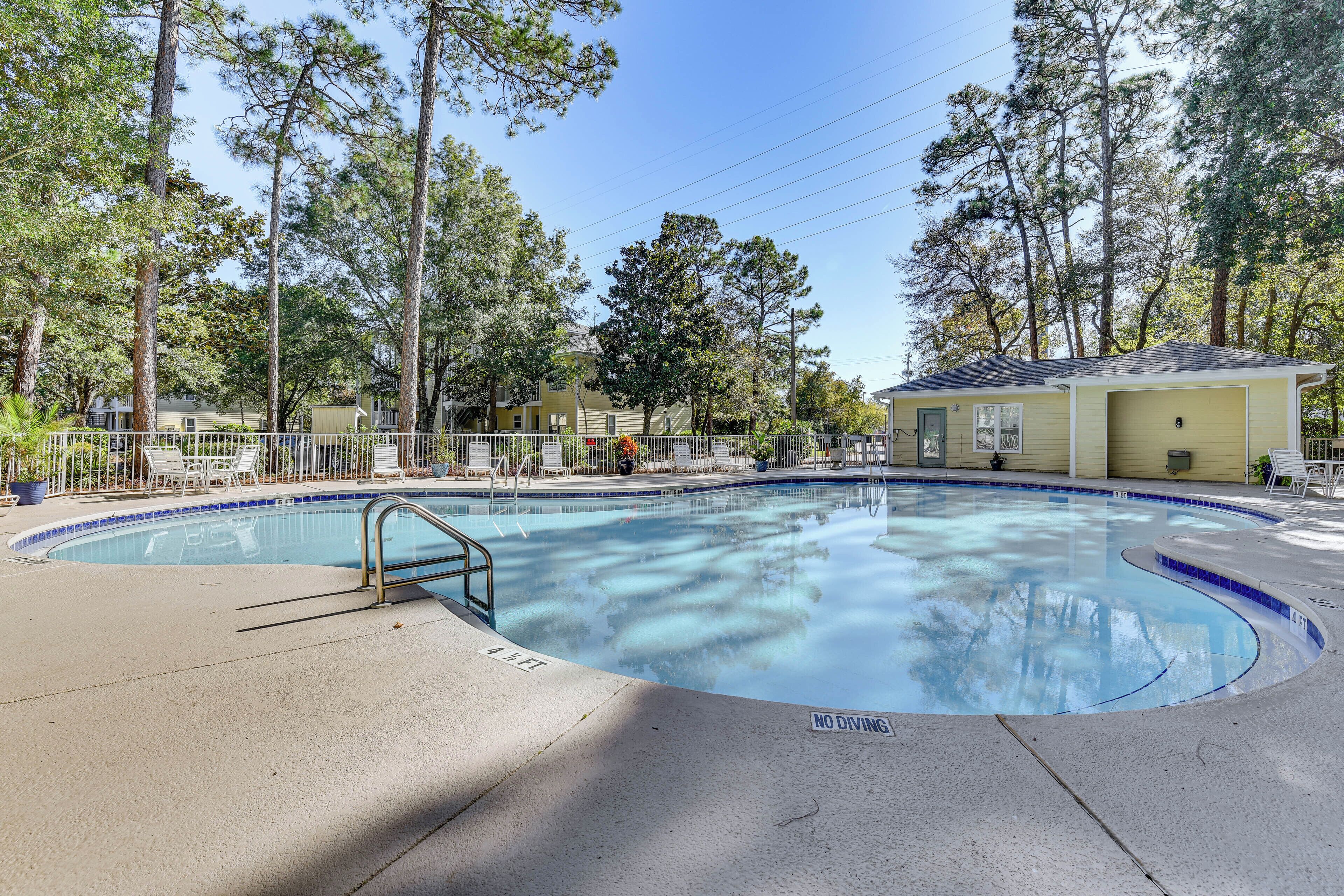 A swimming pool with a 'No Diving' sign, surrounded by trees and a fenced area with lounge chairs.