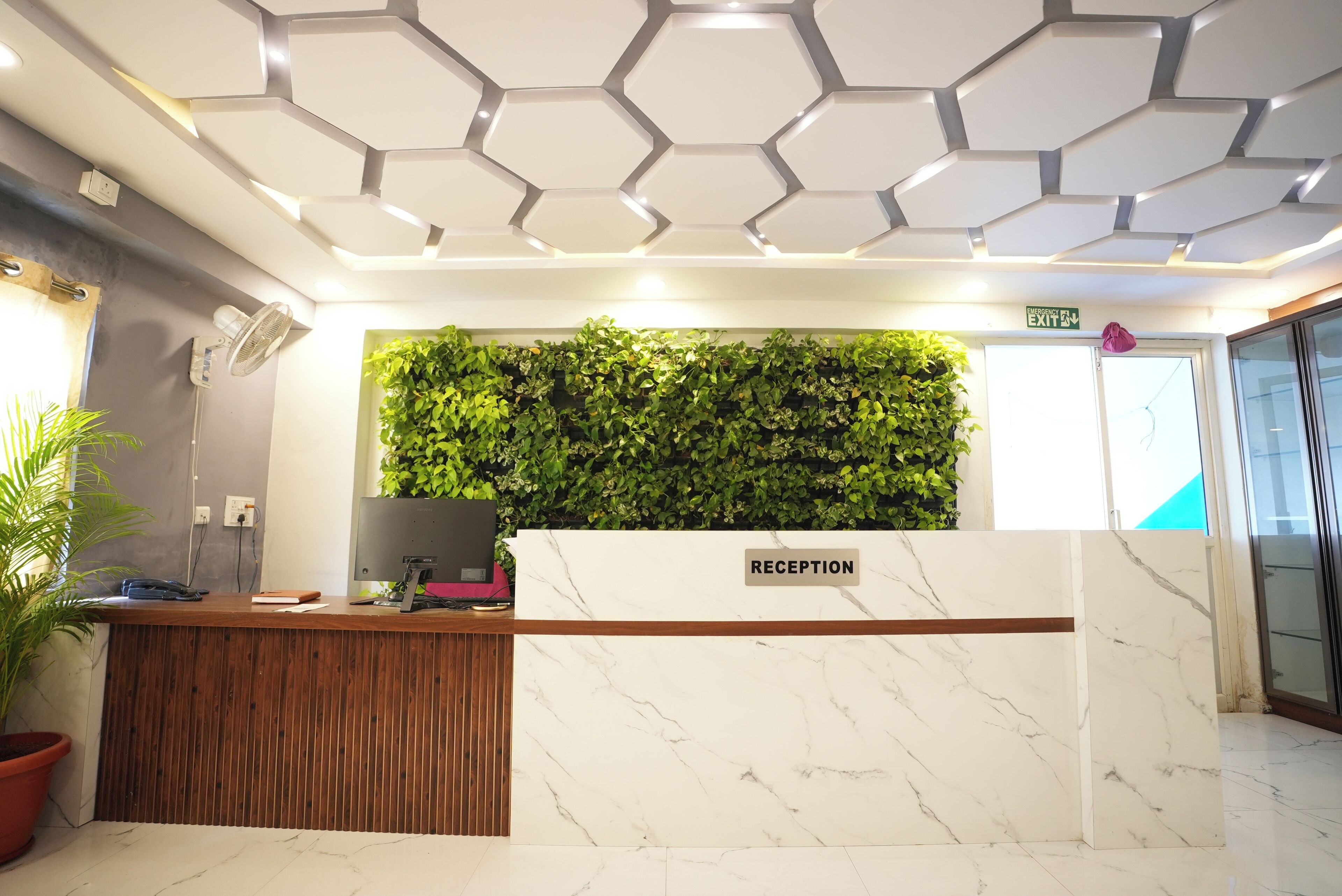 A reception desk with a marble top and a wooden base, a green wall with plants behind it, and a ceiling with hexagonal patterns.