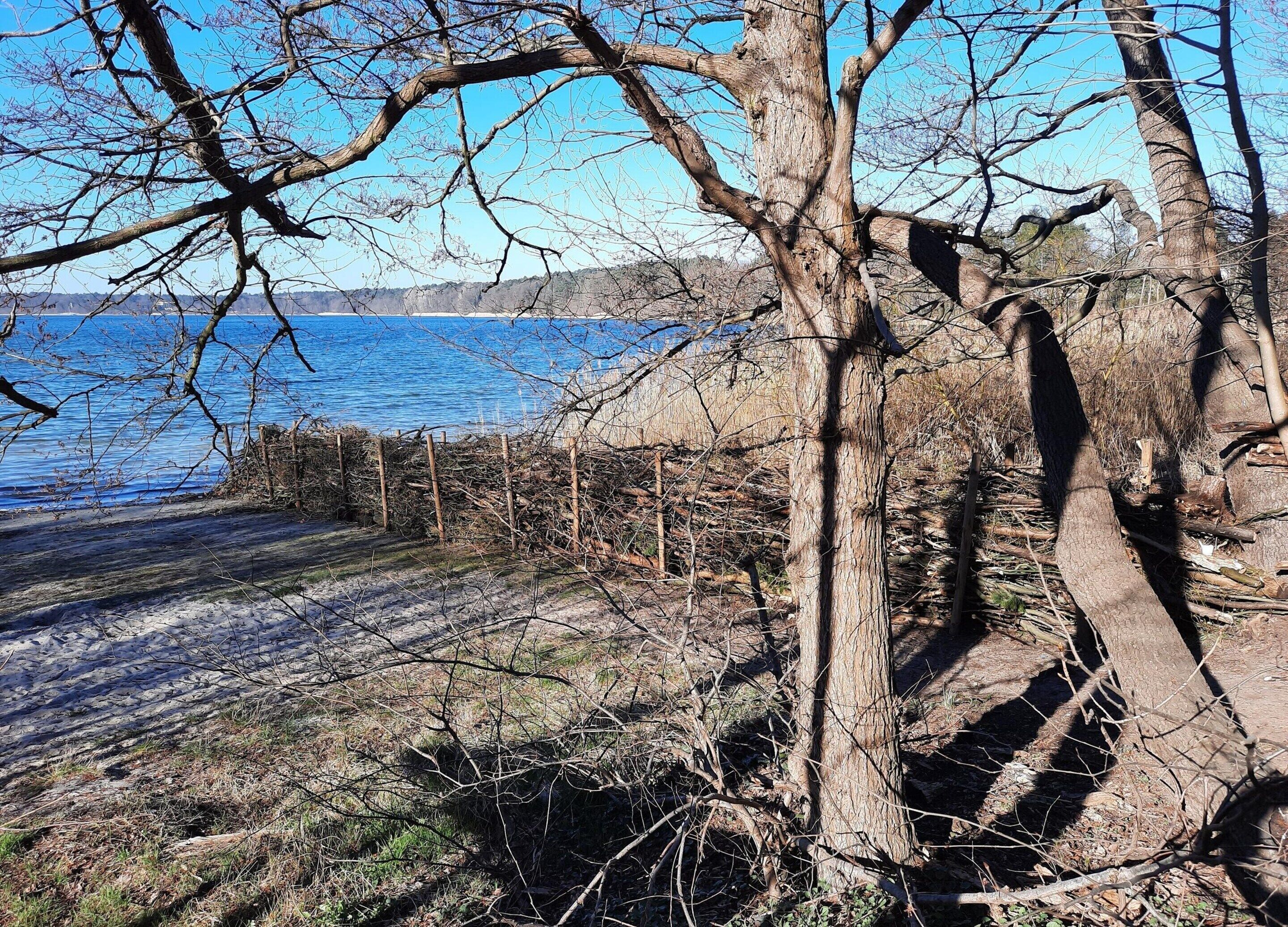 A natural landscape with a body of water, trees, and a fence.