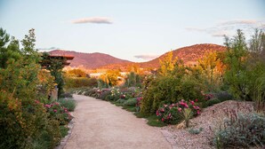 A garden pathway leading to a building with a pergola, surrounded by various plants and flowers.