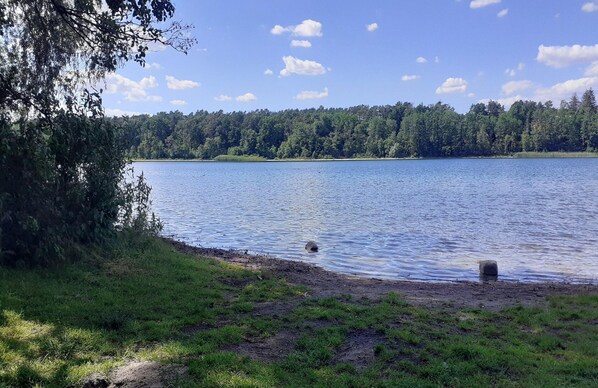 A calm lake with a forested shoreline and a clear sky.