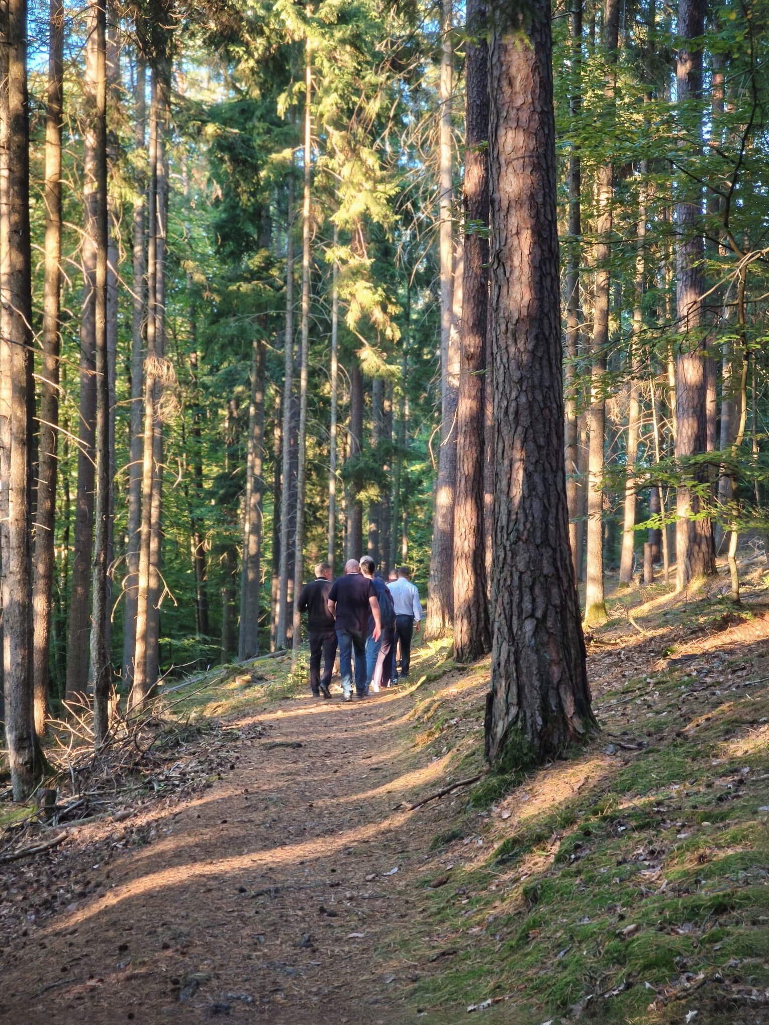 A forested path with people walking.