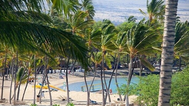 Une plage bordée de palmiers, une piscine et une zone sablonneuse avec des chaises longues.