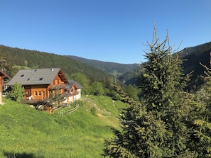 Exterior - Rare detached apartment in wooden chalet with breathtaking views not overlooked (Villard-de-Lans)