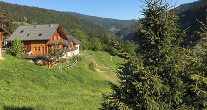Rare Appartement indépendant dans Chalet Bois avec Vue imprenable sans vis à vis