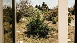 An arched architectural feature with a view of a landscaped garden. - Villa Del Ponente Otranto (Otranto)