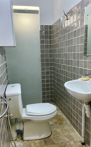Chuveiro, toalhas de banho, papel higiênico 