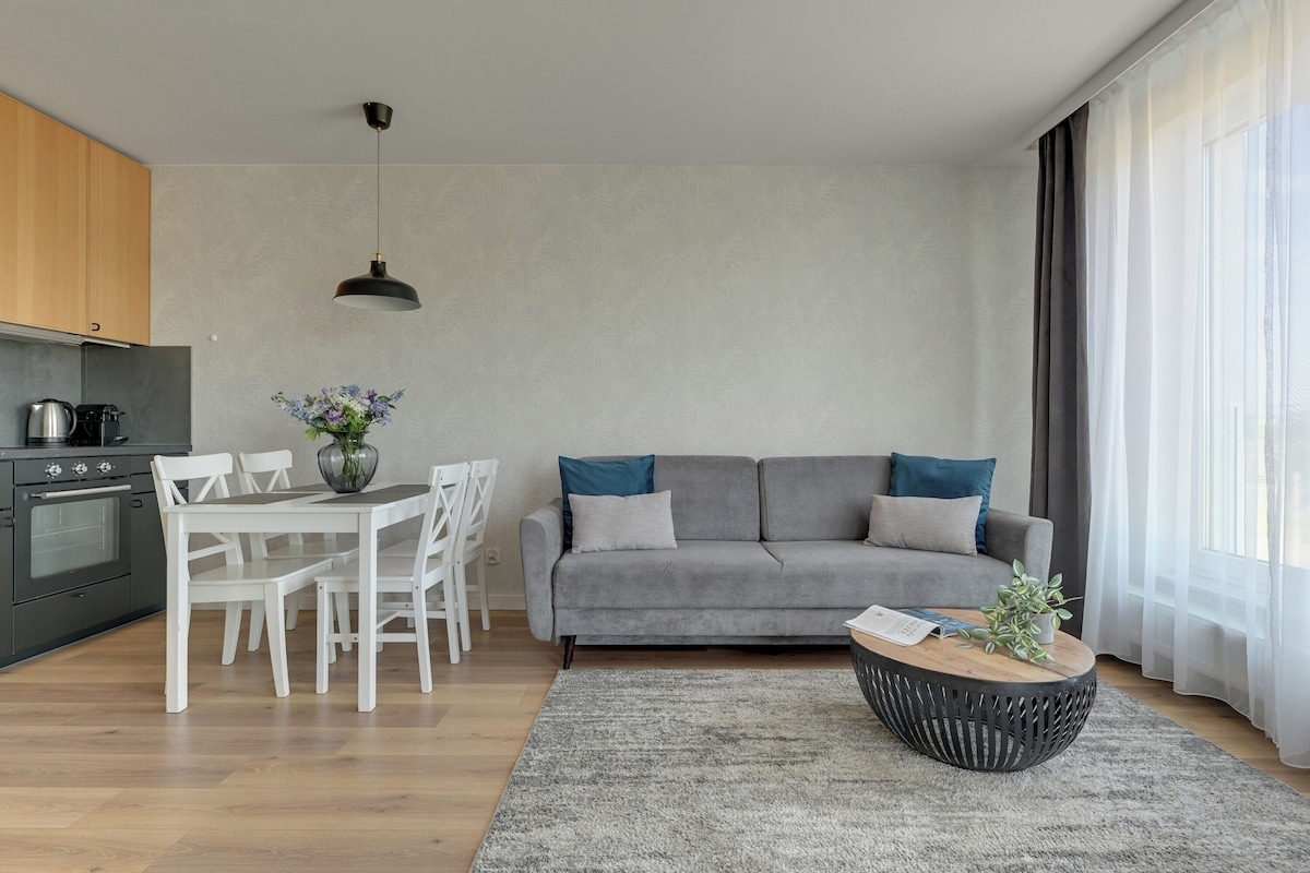 Leilighet – superior, 1 soverom, aircondition | Oppholdsområde | En 50-tommers Flatskjerm-TV med kabel-kanaler