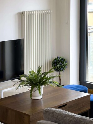 Uma sala de estar moderna com uma televisão de tela plana, um radiador branco, uma mesa de centro de madeira, uma samambaia em vaso e uma almofada azul.