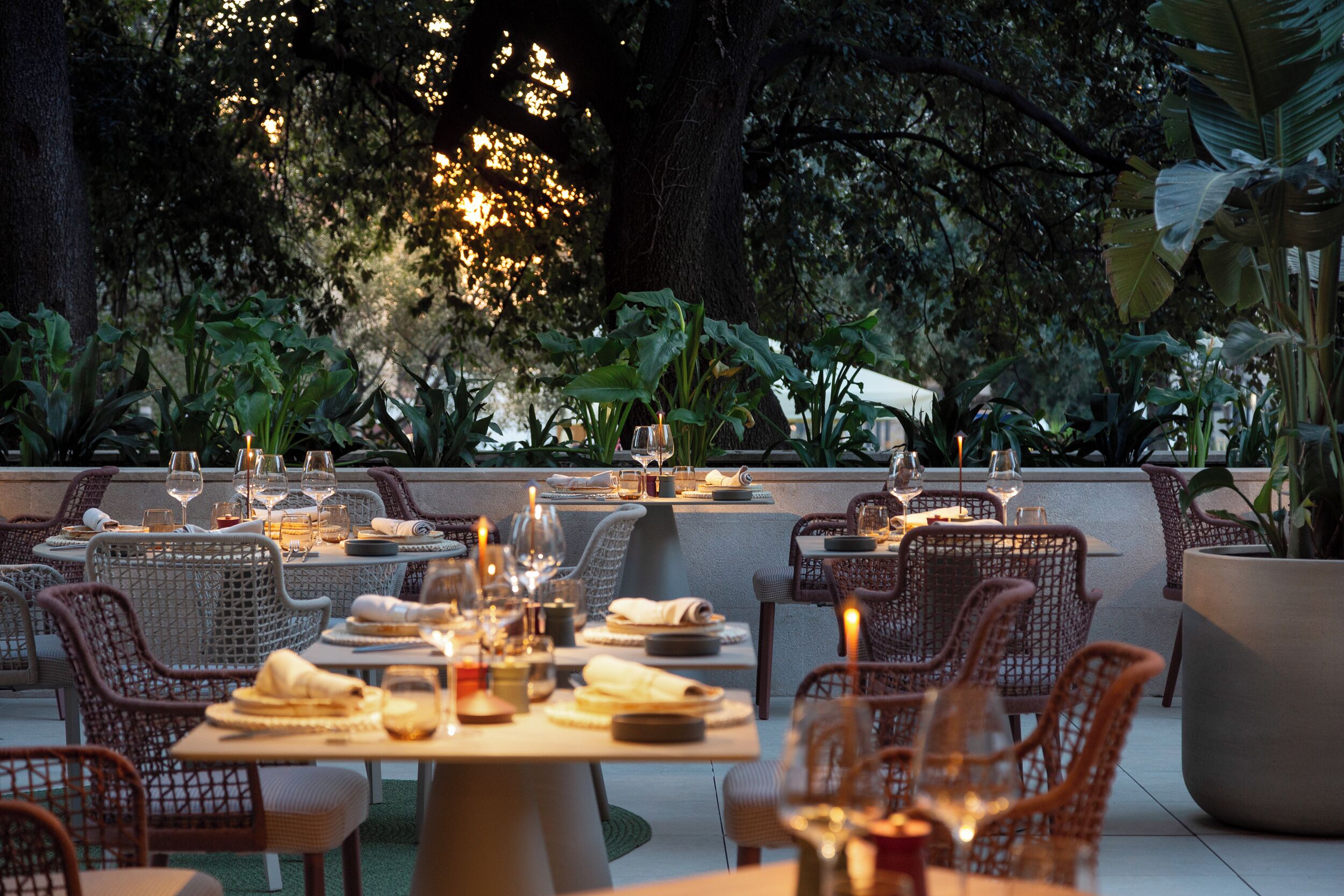 An outdoor dining area with wicker chairs and tables, surrounded by lush greenery and trees.
