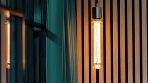 Two exposed filament bulbs against a wooden slat wall.