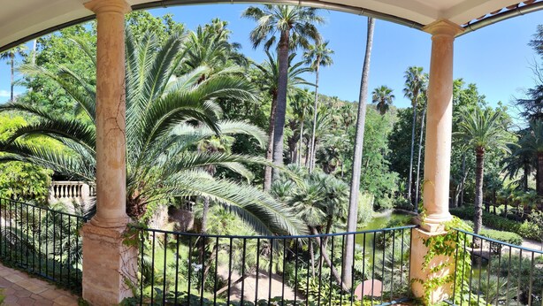 A covered walkway with columns, surrounded by lush greenery and palm trees.