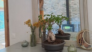 A room with a large mirror reflecting a staircase and a stone wall. There are potted plants on a white dresser. - House overlooking private lake in mid-mountain setting. Peace and quiet in the heart of nature! (Pradelles-Cabardès)