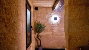 Un estrecho pasillo con paredes de piedra rugosa, una planta en maceta y una puerta con panel de vidrio esmerilado.