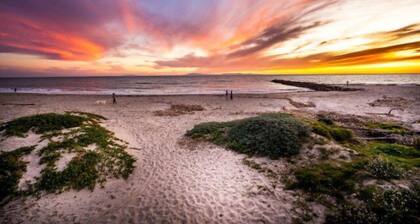 Walk To Beach! Clean & Super Comfy, Great Location