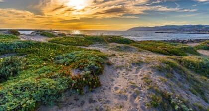 Walk To Beach! Clean & Super Comfy, Great Location