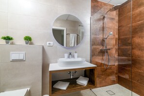 Secador de pelo, toallas, jabón, papel higiénico