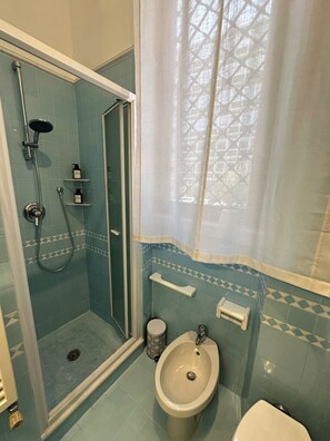 Shower, hair dryer, bidet, towels