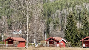 A rural landscape with a large tree, a few red-roofed buildings, and a forested mountain in the background. - Sanda Camping (Midt-Telemark)