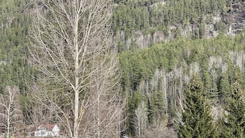 إطلالة على الجبل