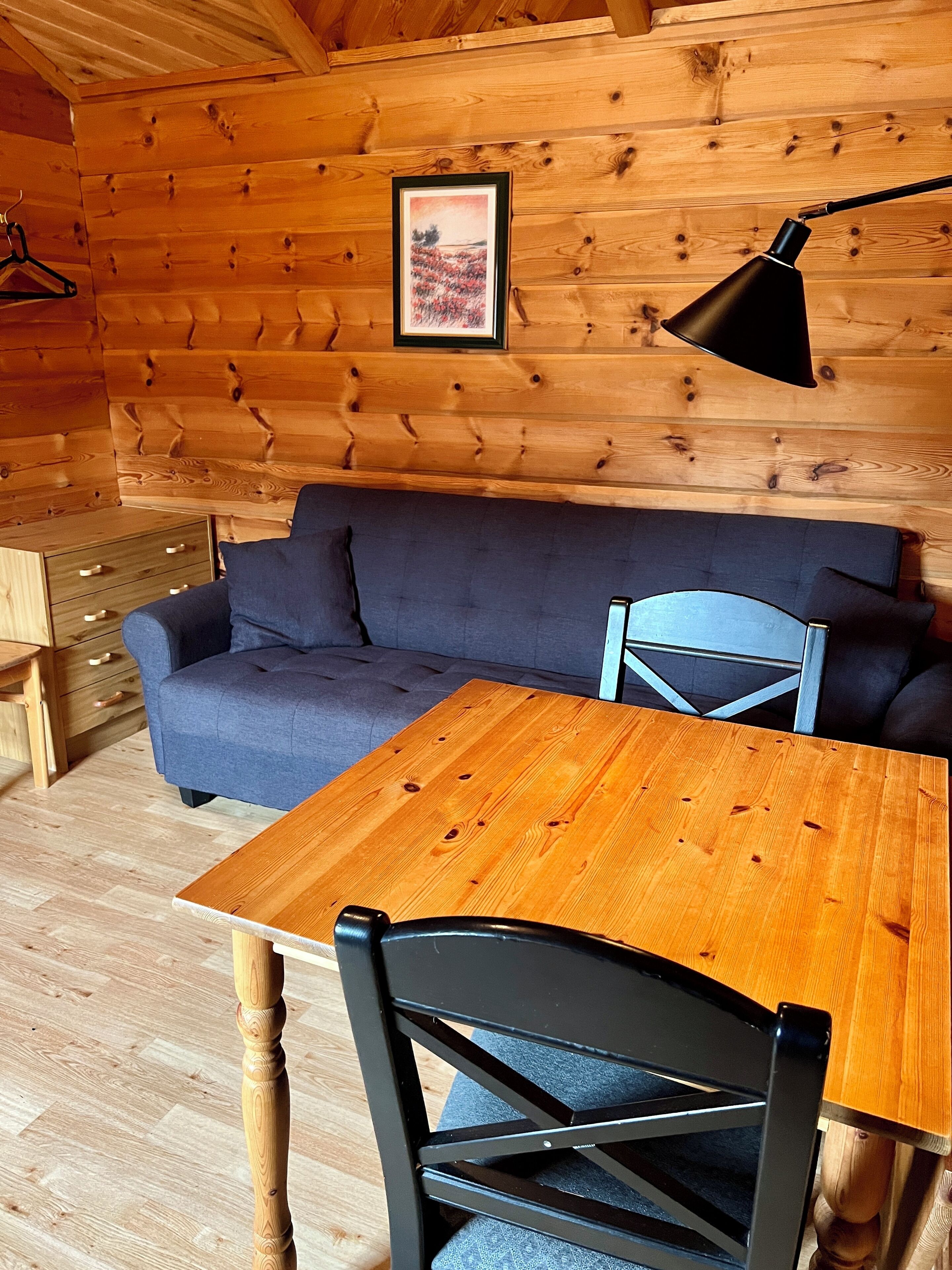 A wooden cabin interior with a sofa, a table, and a chair.