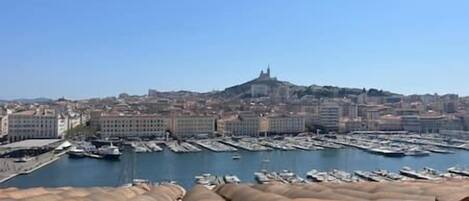 Vista desde la propiedad