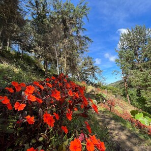 Terrein van de accommodatie