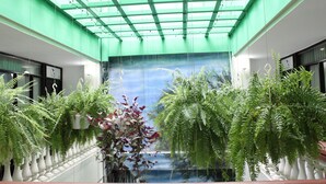 Terrazza/patio