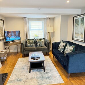 TV connectée, cheminée, lecteur de DVD, livres