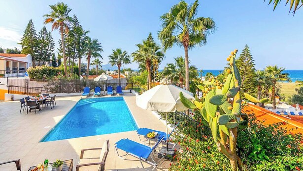 A pool area with lounge chairs, umbrellas, and a cactus plant.
