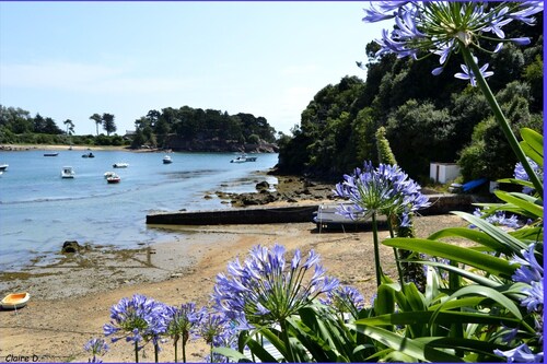 CARANTEC Loc quiet house 5 minutes sea, near beaches water sports fishing