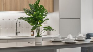 Una cocina moderna con una isla central, armarios de madera y una planta en maceta.