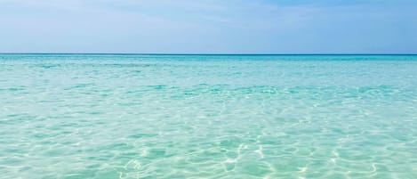 Una spiaggia nelle vicinanze
