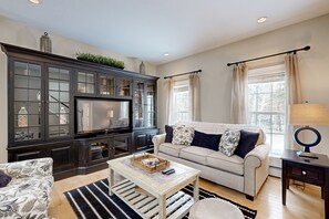 Télévision, cheminée, lecteur de DVD