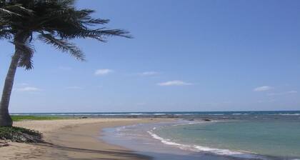 family-run accommodation in the middle of BillysBay, only 2 minutes to the local beach