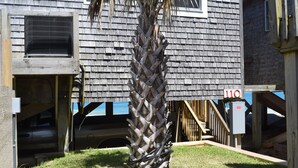 Property grounds - Two Bedroom Oceanfront Beach House (Buxton)