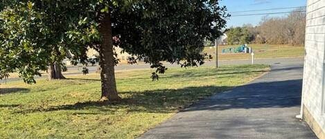 Un sendero pavimentado que conduce a un edificio, con un árbol a la izquierda.