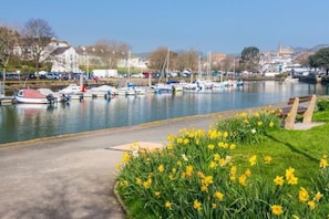 A marina with boats docked, a grassy area with yellow flowers, and a clear sky.