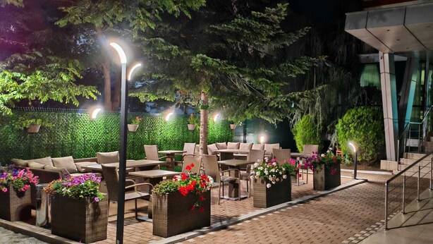 An outdoor seating area with wicker furniture and potted plants, a staircase leading to a building entrance, and a green wall in the background. - Vila Alessia (Eforie)