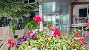 A wicker planter filled with various flowering plants, including pink and purple flowers, placed in an outdoor area with wicker furniture and a building in the background. - Vila Alessia (Eforie)